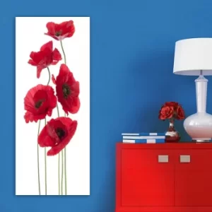Image of DKY128322_50120 Multicolor Decorative Canvas Painting
