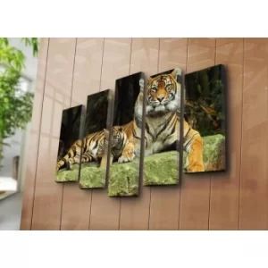 Image of 5NATPAT-38 Multicolor Decorative Canvas Painting (5 Pieces)