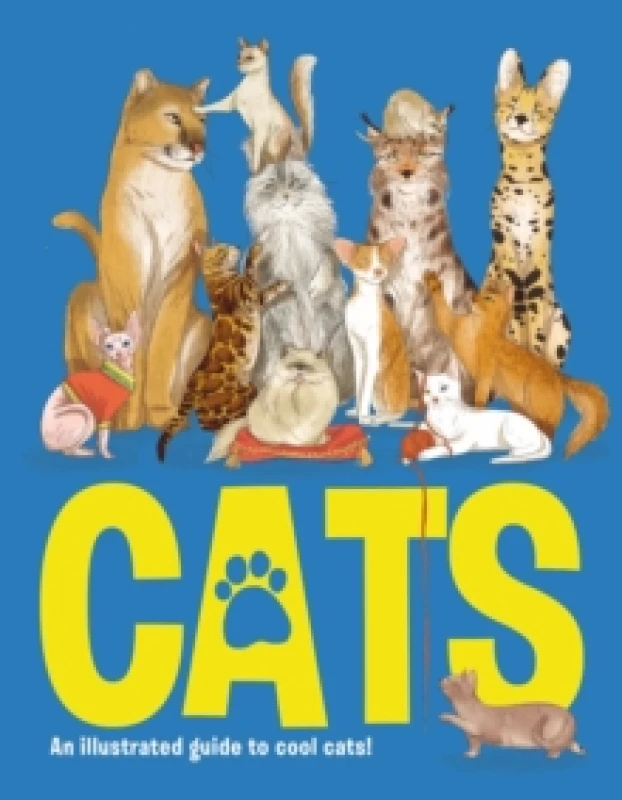Image of Boxer Gifts Cats Ilustrated guide to 100 Cat breeds Multi unisex