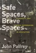 Image of safe spaces brave spaces diversity and free expression in education