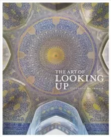 Image of The Art of Looking Up