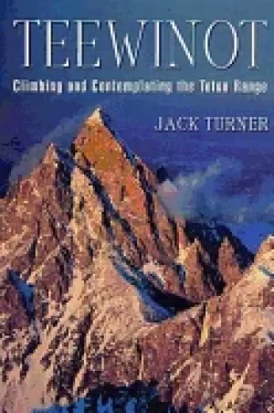 Image of teewinot climbing and contemplating the teton range
