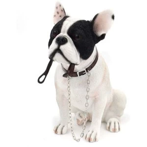 Image of Walkies French Bulldog White & Black Sitting By Leonardo