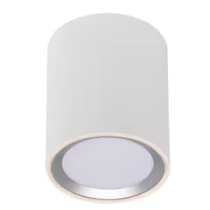 Image of Fallon Long LED Dimmable Surface Mounted Downlight White, Brushed Steel, 2700K
