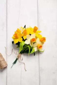 Image of Felt Craft Kit - A Dozen Daffodils