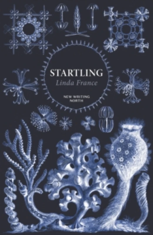 Image of Startling. Paperback. By Linda France Books