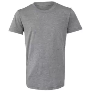 image of Bella + Canvas Youths Tri-Blend T-Shirt (M) (Grey Triblend)