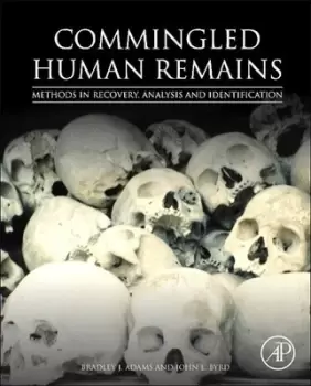 Image of Commingled human remains by Bradley J Adams