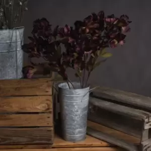 Image of Chocolate Alstroemeria Lily Spray