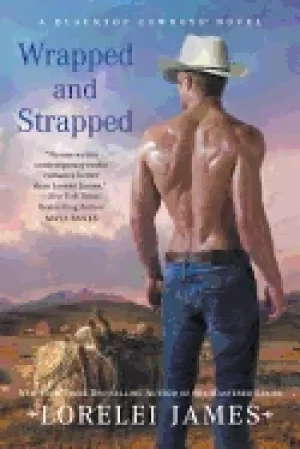 Image of wrapped and strapped