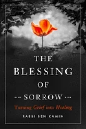 Image of blessing of sorrow turning grief into healing
