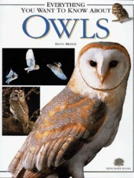 Image of Everything You Want to Know about Owls by Dilys Breese Hardback