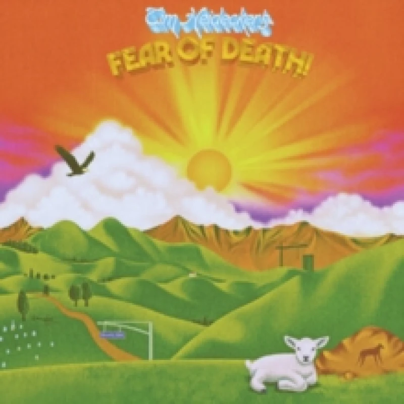 Image of Tim Heidecker Fear of Death (Vinyl) 12 Album