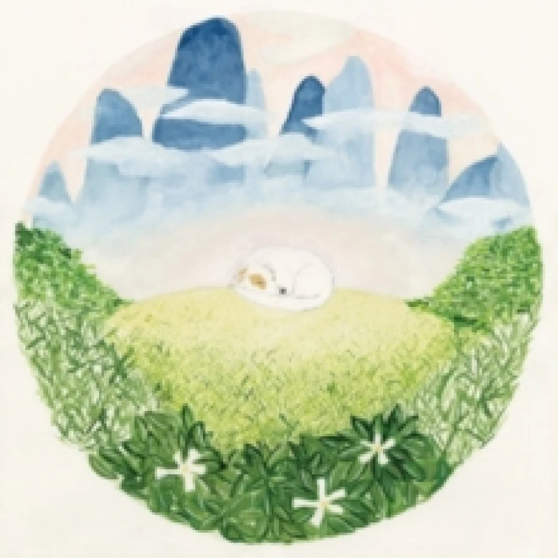 Image of Songs for sleeping dogs CD / Album