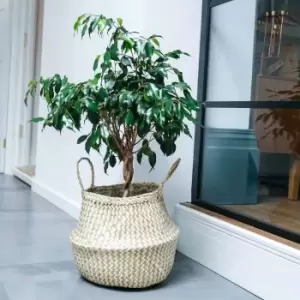 Image of Ivyline Seagrass Chevron White Lined Basket Medium - H30Cm X D35Cm