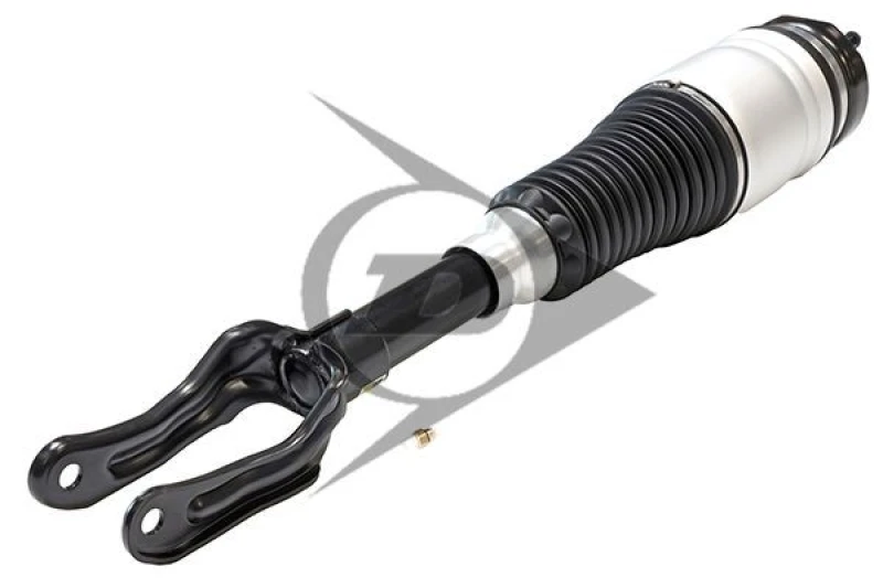 Image of Air suspension strut Dunlop Airsuspension 71120