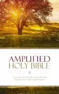 Image of amplified holy bible paperback captures the full meaning behind the origina