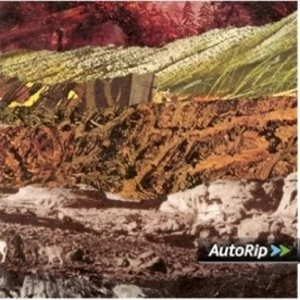 Image of She Keeps Bees - Dig On CD