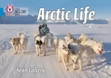 Image of Arctic Life : Band 04/Blue