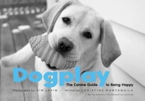 Image of Dogplay by Kim Levin Hardback
