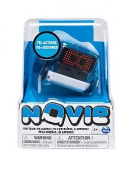 Image of Boxer Novie Blue