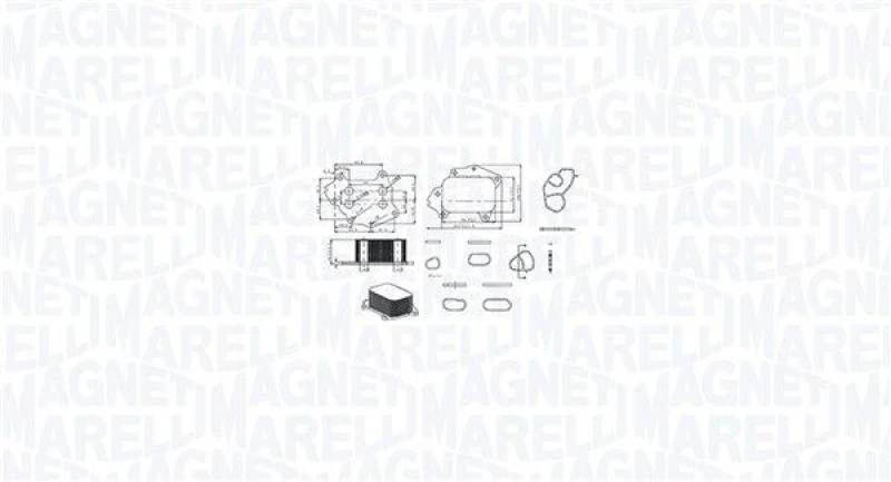 Image of MAGNETI MARELLI Engine oil cooler MAGNETI MARELLI 350300002700