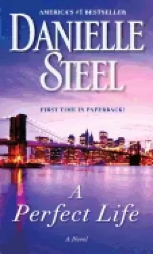 Image of perfect life a novel