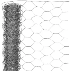 Image of Wire Mesh Hexagonal 0.5x10 m 25mm Galvanised Steel Nature Grey