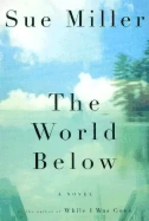 Image of world below