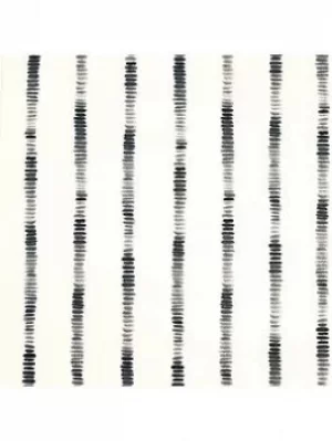 Image of Arthouse Silk Road Stripe Mono Wallpaper