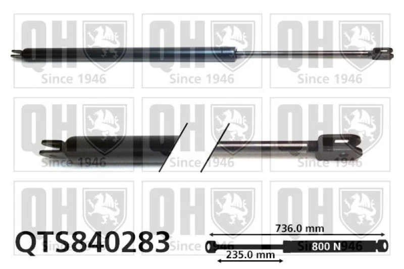 Image of QUINTON HAZELL Tailgate strut QUINTON HAZELL QTS840283