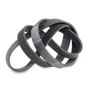 Image of MAPCO V-ribbed belt 261244 Serpentine belt,Auxiliary belt OPEL,FORD,FIAT,Corsa D Schragheck (S07),Astra J Sports Tourer (P10),ASTRA J