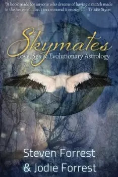 Image of Skymates: No. 1 by Jodie Forrest