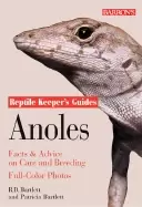 Image of anoles facts and advice on care and breeding