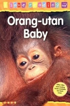 Image of Orang-Utan Baby by Monica Hughes and Mitch Cronick Paperback