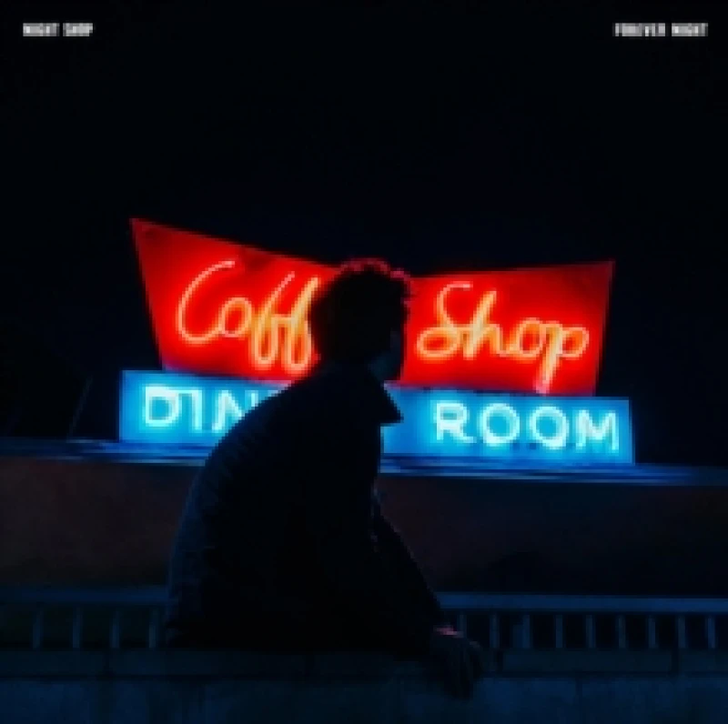 Image of Forever Night Vinyl