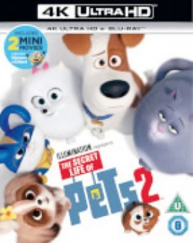 image of The Secret Life of Pets 2 - 4K Ultra HD (Includes 2D Bluray)