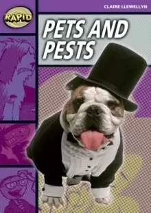 Image of Rapid Reading: Pets and Pests (Stage 1, Level 1B)