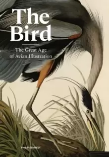 Image of The Bird : The Great Age of Avian Illustration