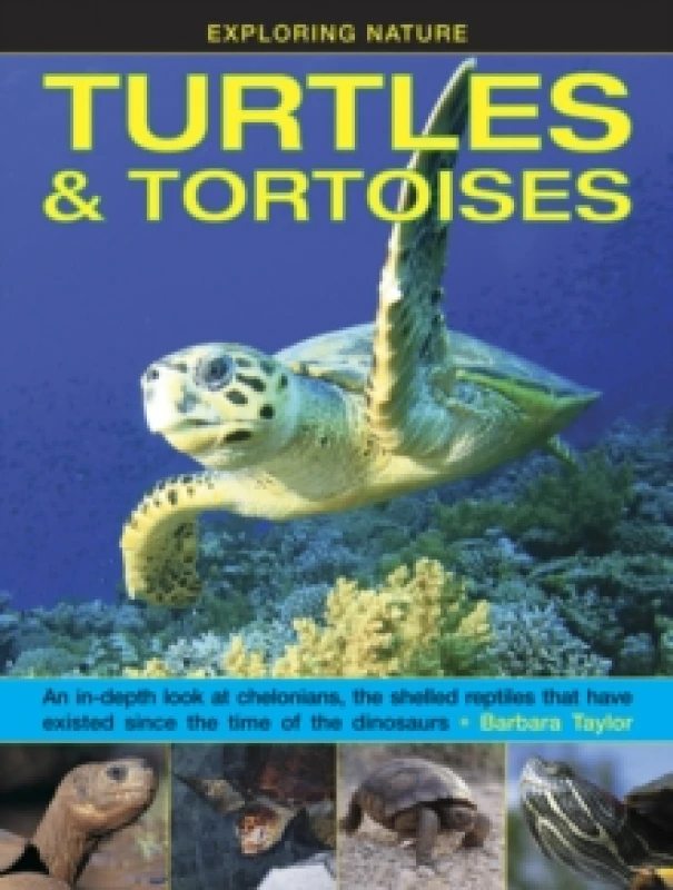 Image of Taylor Barbara Exploring Nature: Turtles & Tortoises Hardback Book Multi