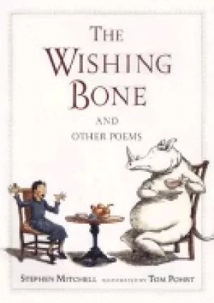 Image of wishing bone and other poems