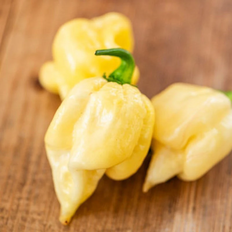 Image of White Chocolate Habanero Chilli Pepper Seeds (10) Fruity Smoky 100 000 Shu Half-Hardy Annual Thompson & Morgan