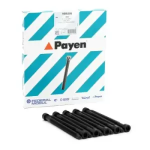 Image of PAYEN Cylinder Head Bolt Kit Female Star HBS300 Bolt Kit, cylinder head VW,AUDI,FORD,Golf IV Schragheck (1J1),Golf V Schragheck (1K1),POLO (9N_)