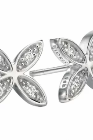 Image of Fiorelli Jewellery Earrings JEWEL E4857C