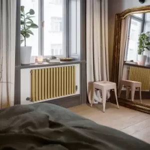 Image of Brass Horizontal Designer Radiator Oval Column Central Heating Radiators 590x865 - Brass