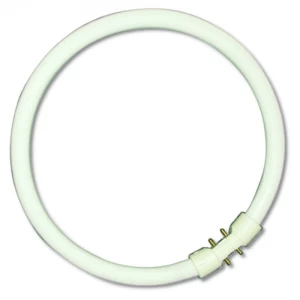 Image of Bell 22W CFL T5 2GX13 Circular Bulb - Cool White