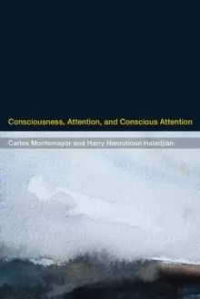 Image of Consciousness, Attention, and Conscious Attention