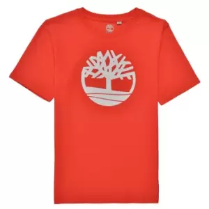 image of Timberland LOLLA boys's Childrens T shirt in Red. Sizes available:14 years,16 years