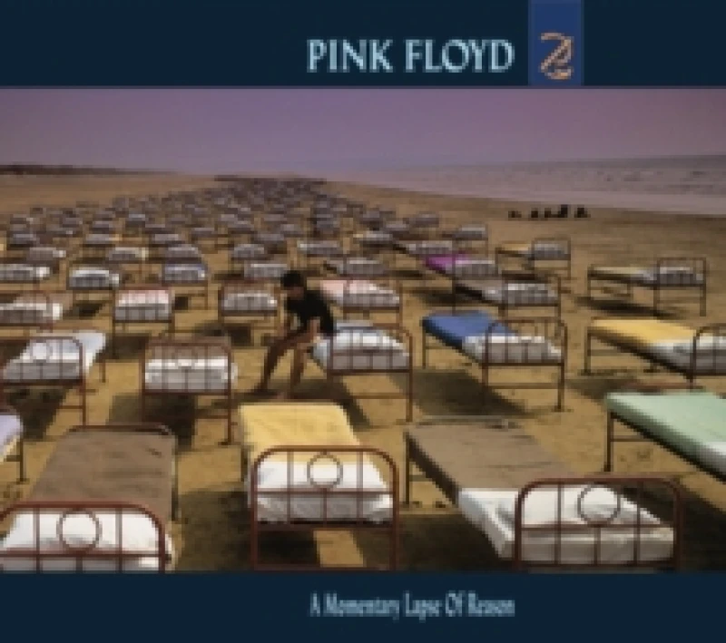 Image of A Momentary Lapse of Reason CD / Album