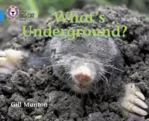 Image of Whats Underground by Gill Munton